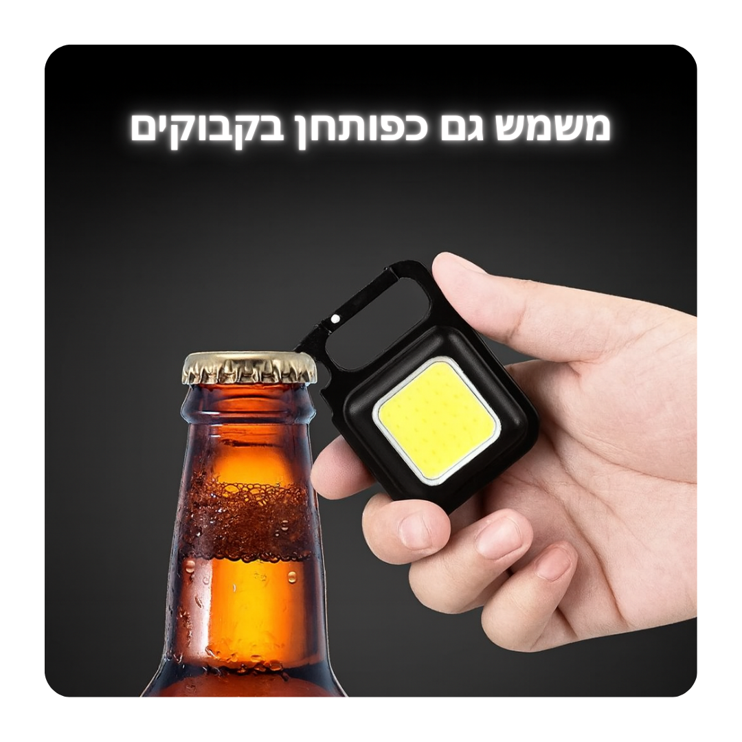 פולאר מיני